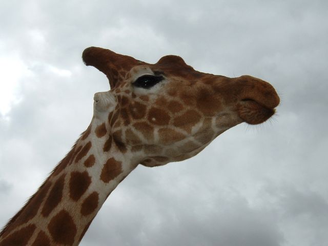 DSCF0027