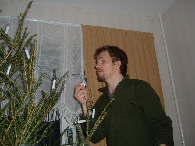 damien fixing the tree