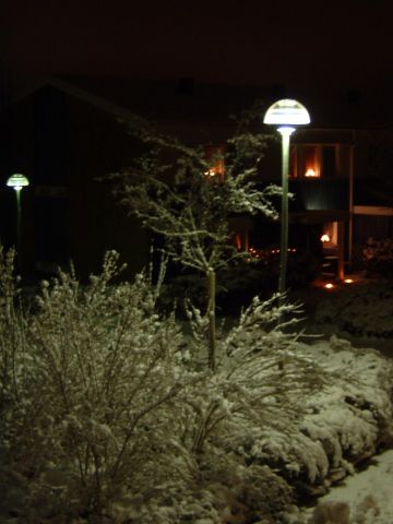 snow6
