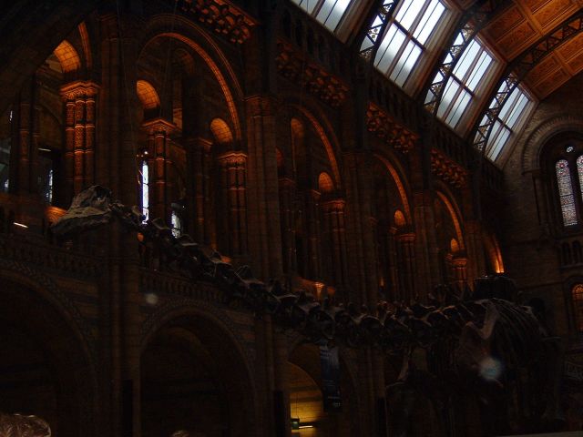 DSCF0021