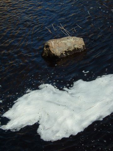 DSCF0083