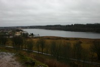IMG_7505.JPG