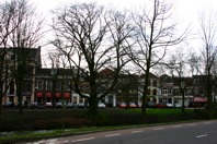 IMG_7555.JPG