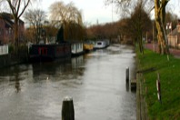 IMG_7563.JPG