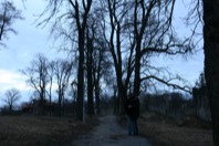 IMG_9046.JPG