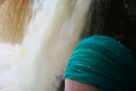 IMG_9078.JPG