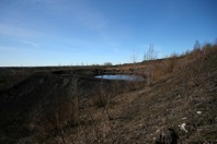 IMG_9212.JPG