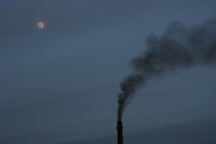 IMG_9383.JPG