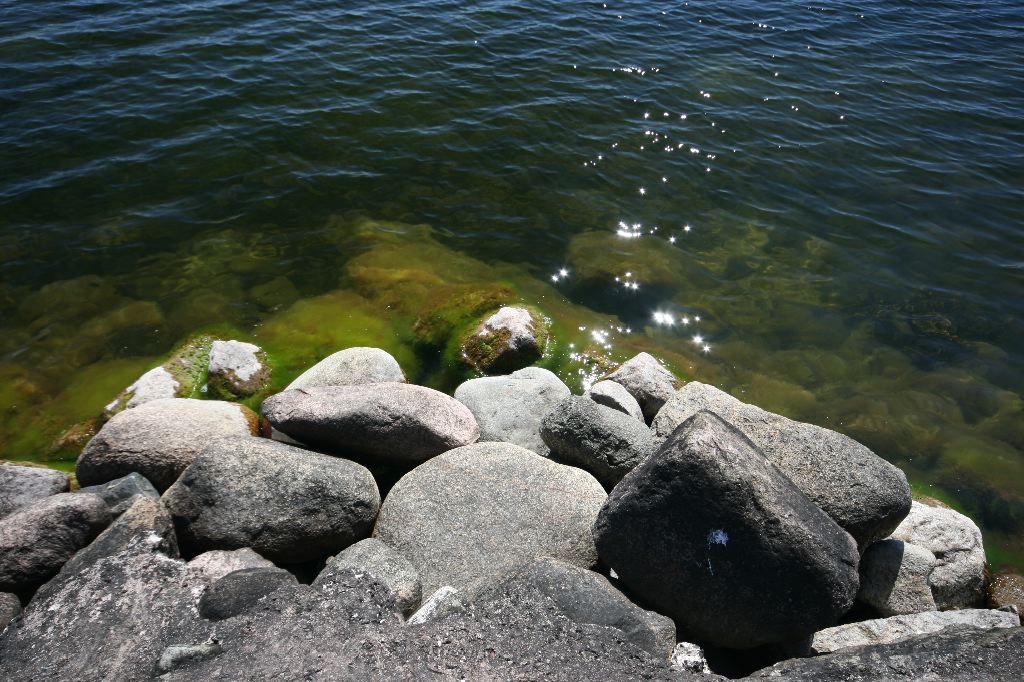 IMG_1990.JPG