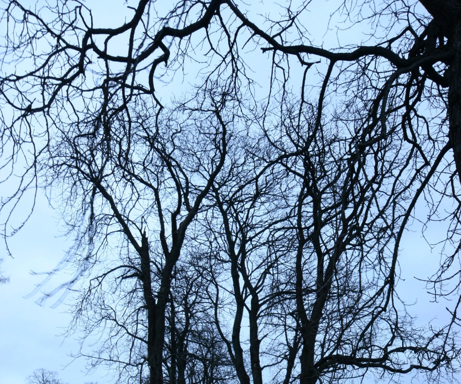 IMG_9051