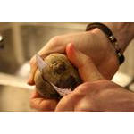 IMG_5053.JPG