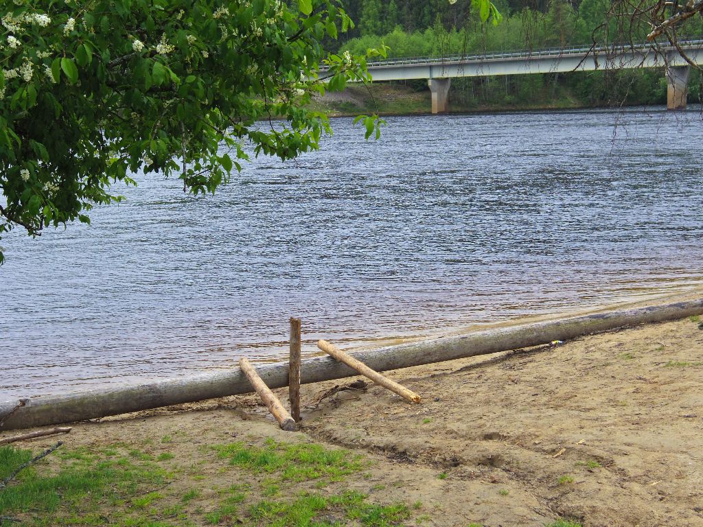 IMGP1401.JPG