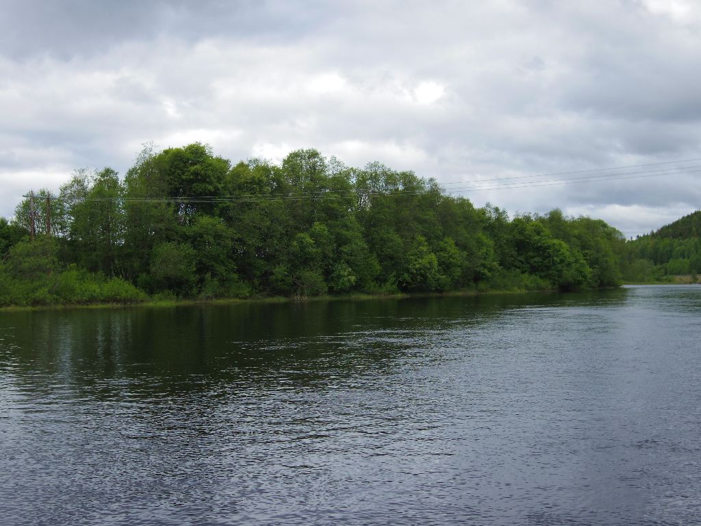 IMGP1454.JPG