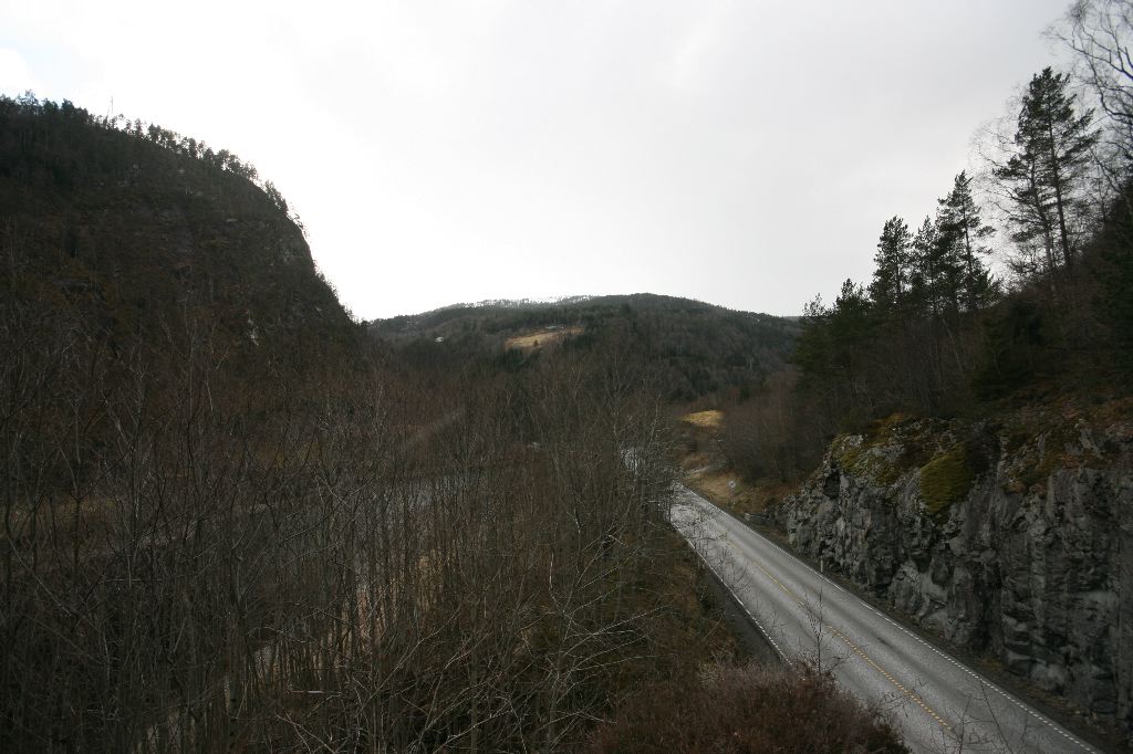 IMG_9560.JPG