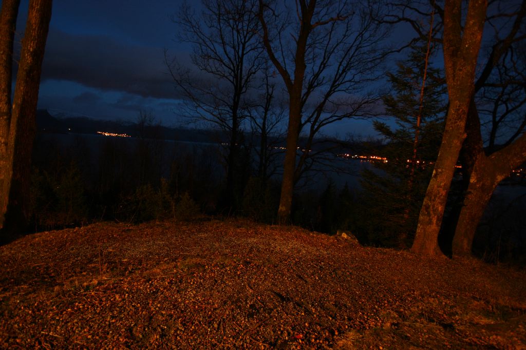 IMG_9575.JPG
