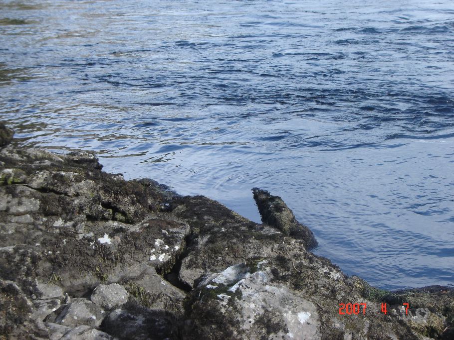 DSC03790.JPG