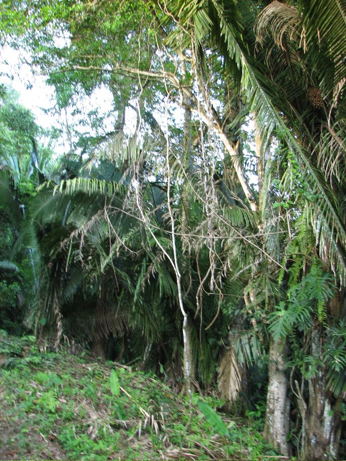 IMG_0158.JPG