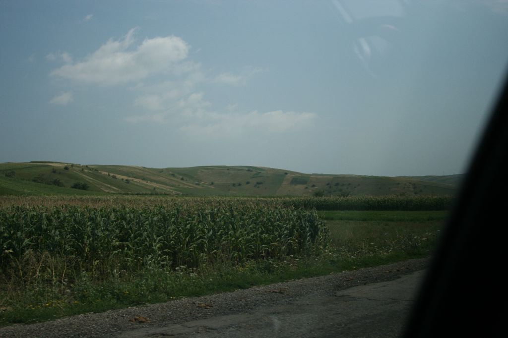 IMG_0972.JPG