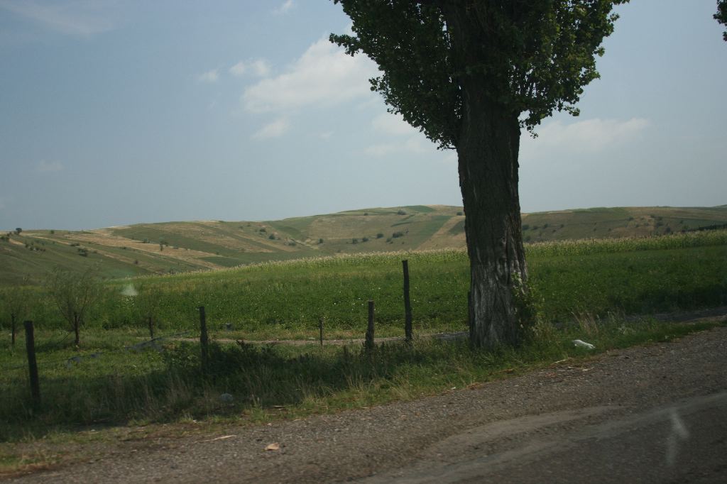IMG_0973.JPG