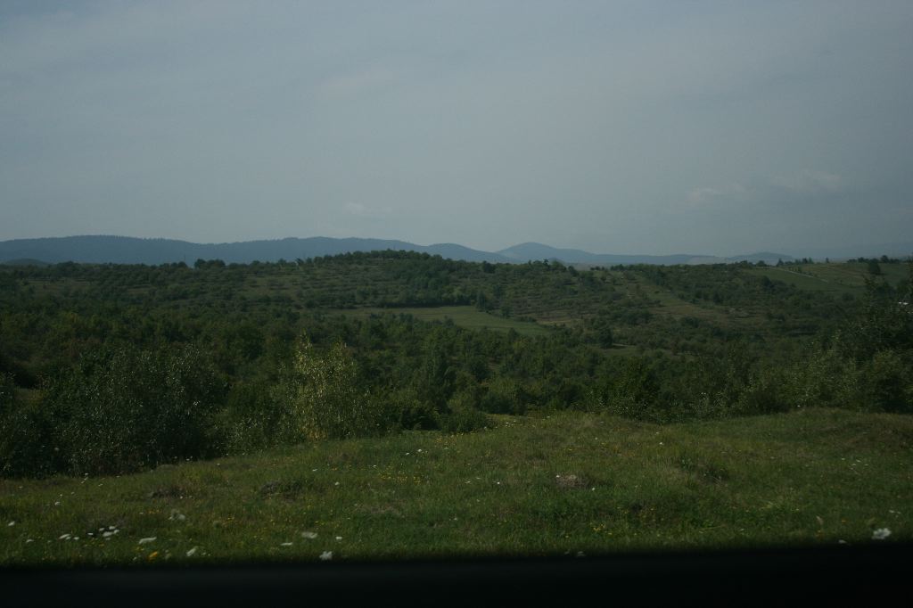 IMG_0977.JPG