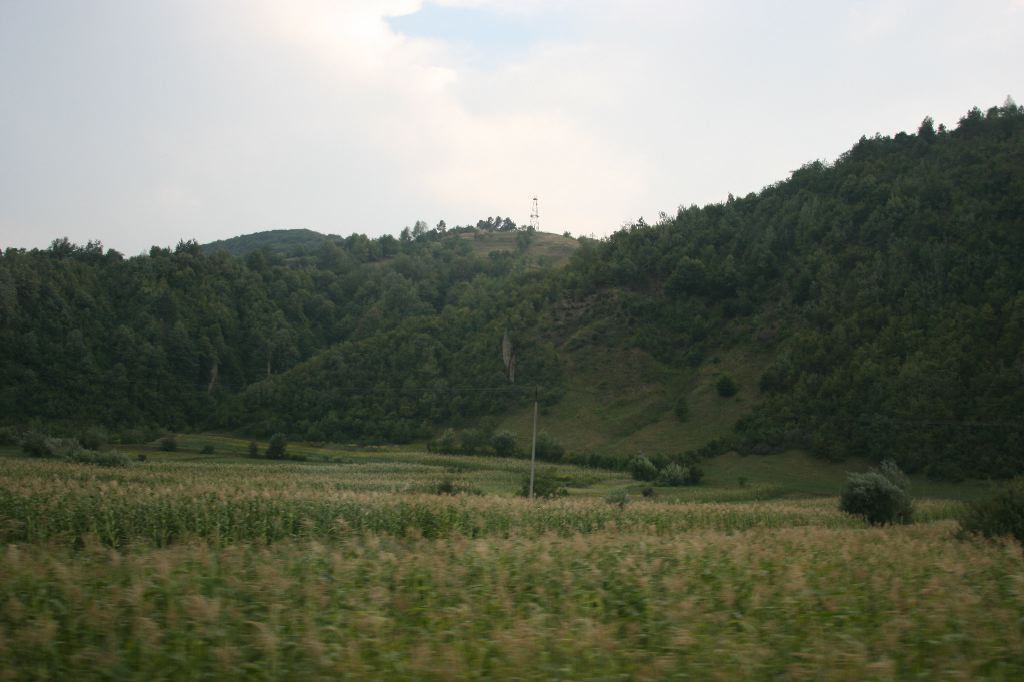IMG_1028.JPG