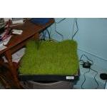grass for the village.JPG