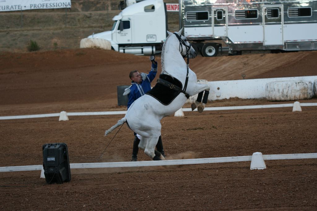 IMG_9392.JPG