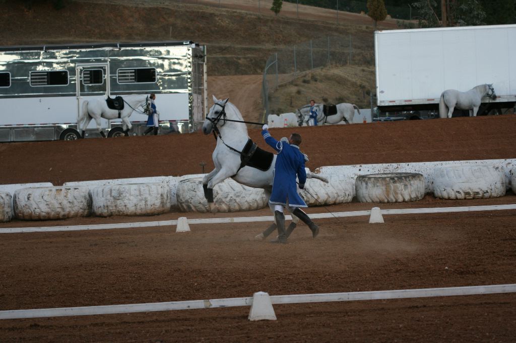 IMG_9405.JPG