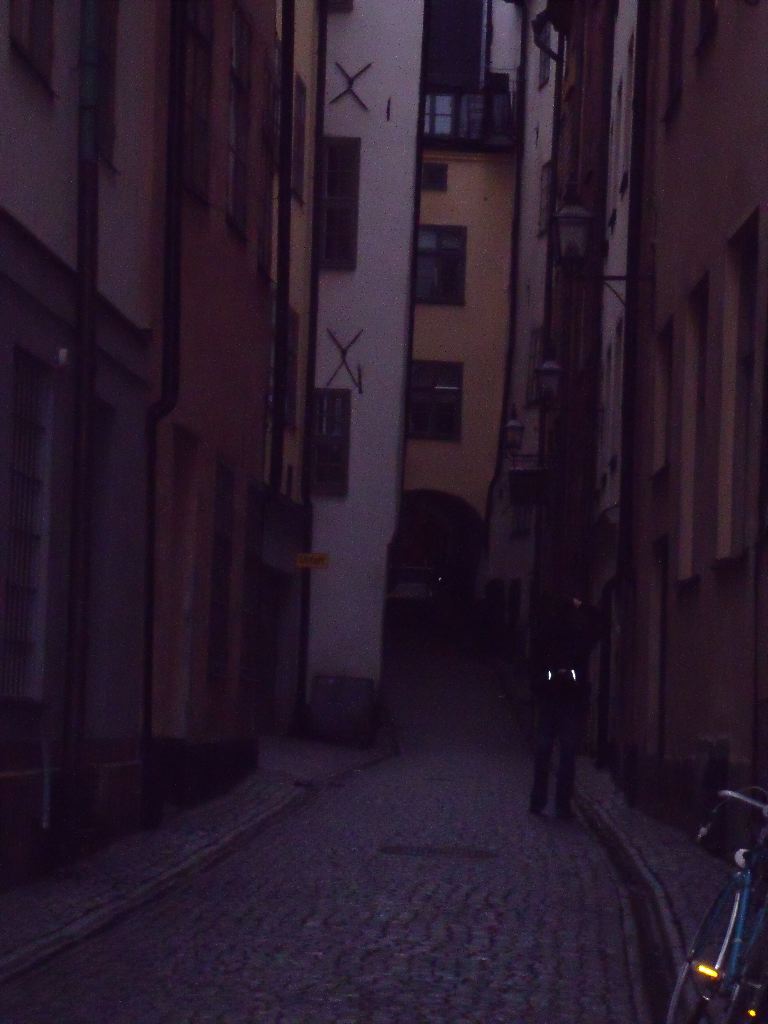 DSCF0054.JPG