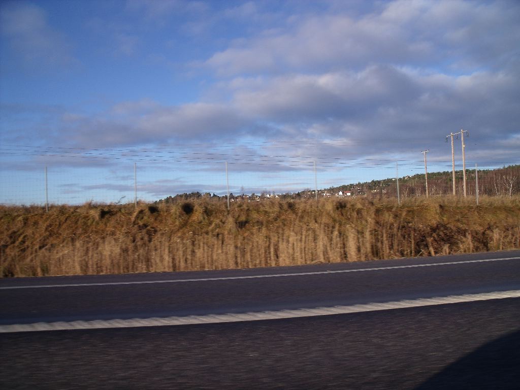 DSCF0137.JPG