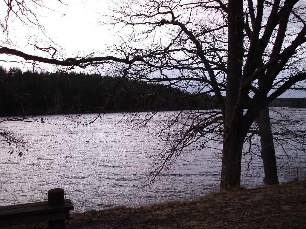 DSCF0141.JPG