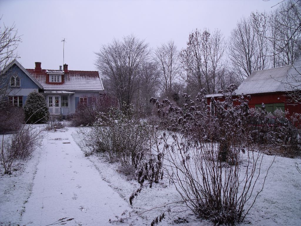 DSCF0169.JPG