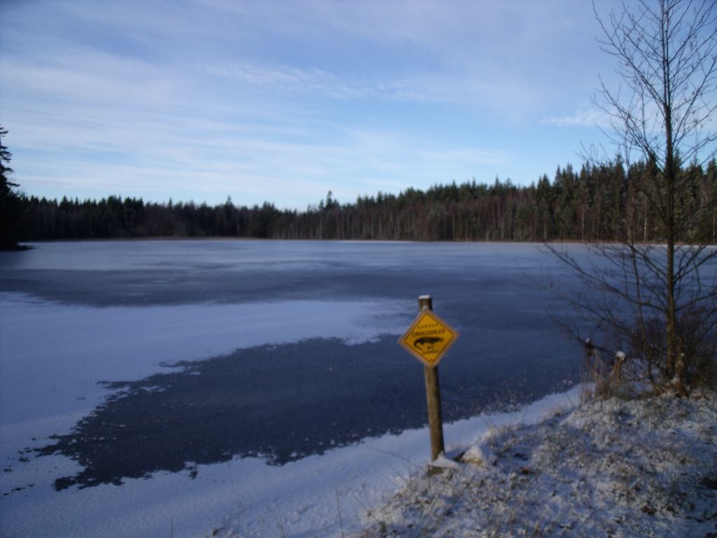 DSCF0180.JPG