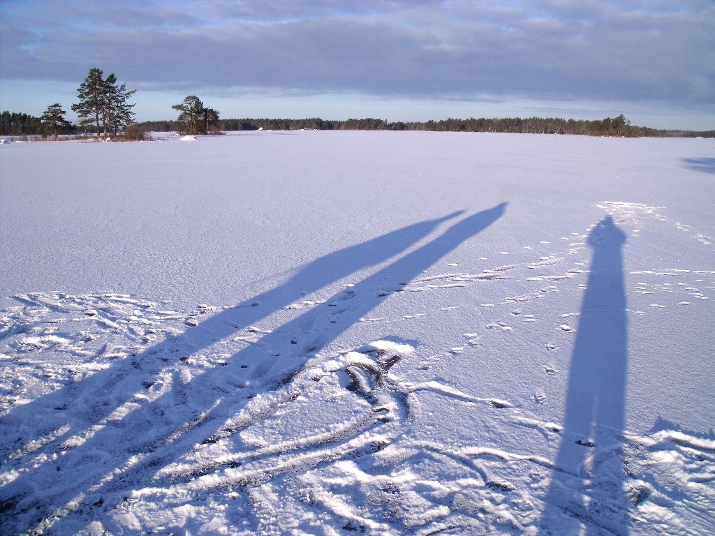 DSCF0242.JPG
